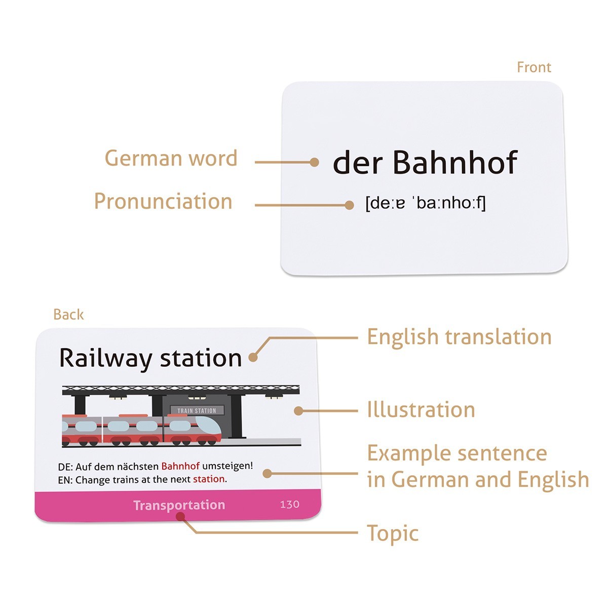 German Vocabulary Educational Flashcards for Beginners