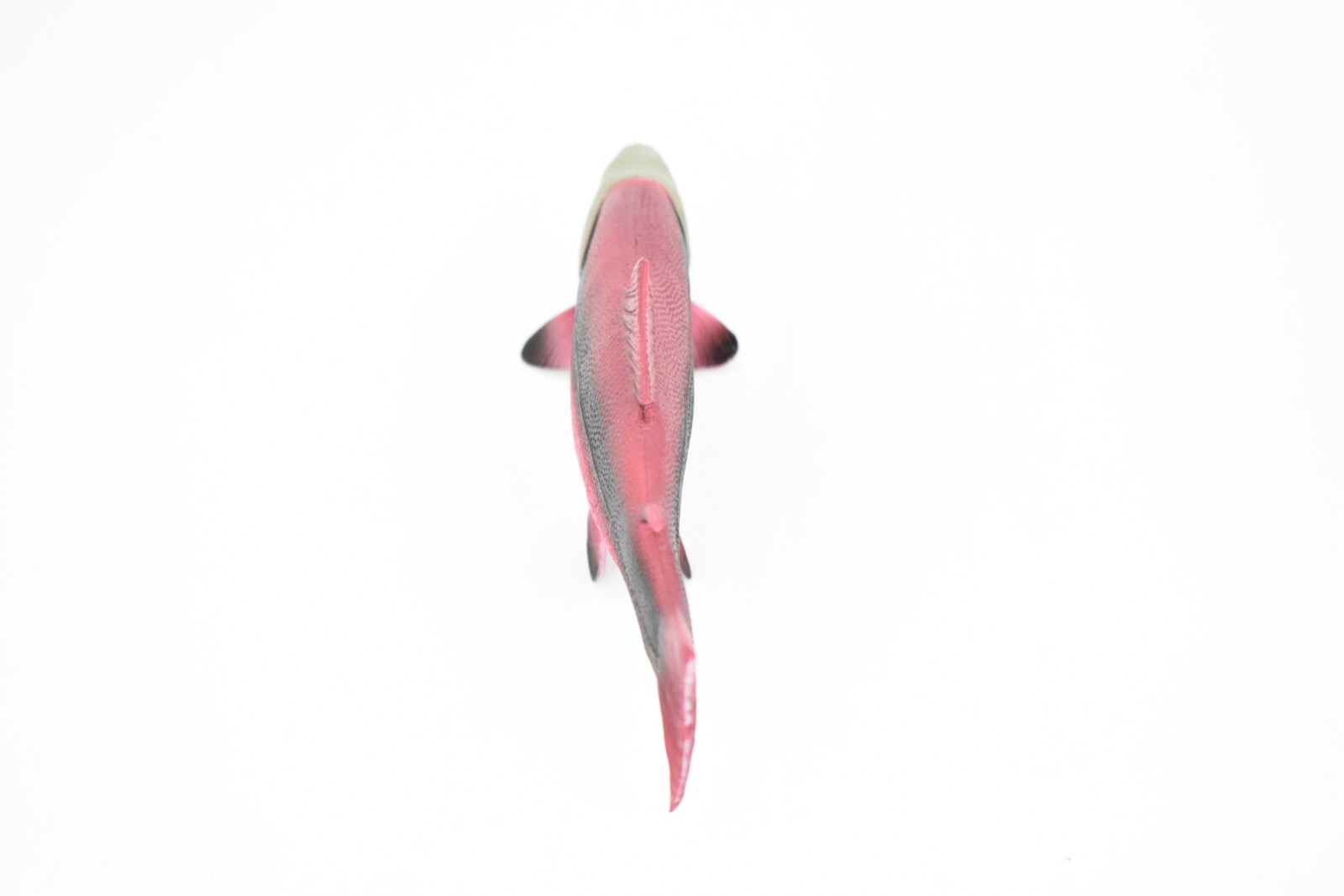 Salmon, King, Spawning, Fish, Figure Realistic Rubber Model, Hand Painted Toy