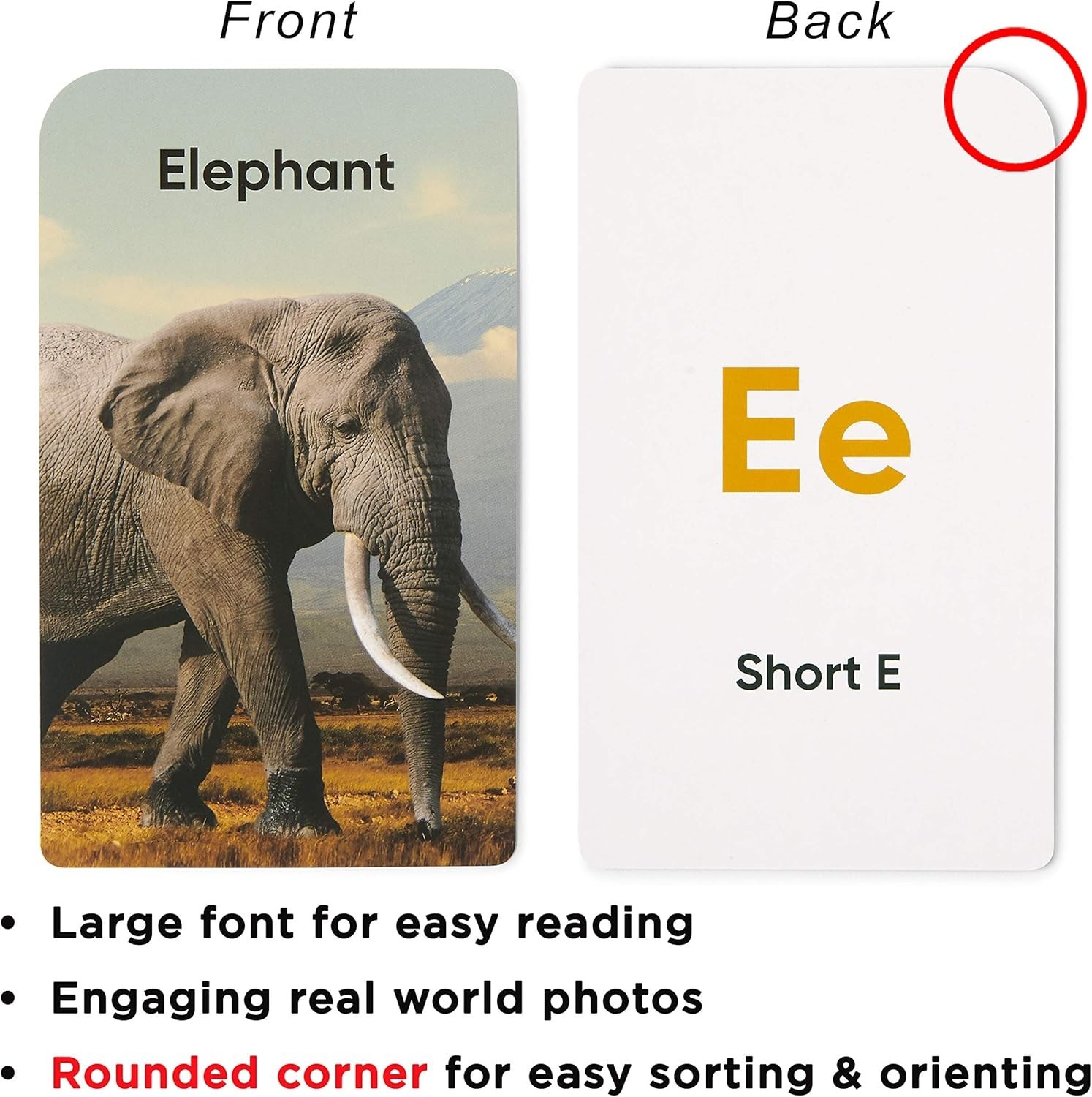 Durable ABC Flash Cards for Ages 2-6 – Phonics and Speech Development Tool