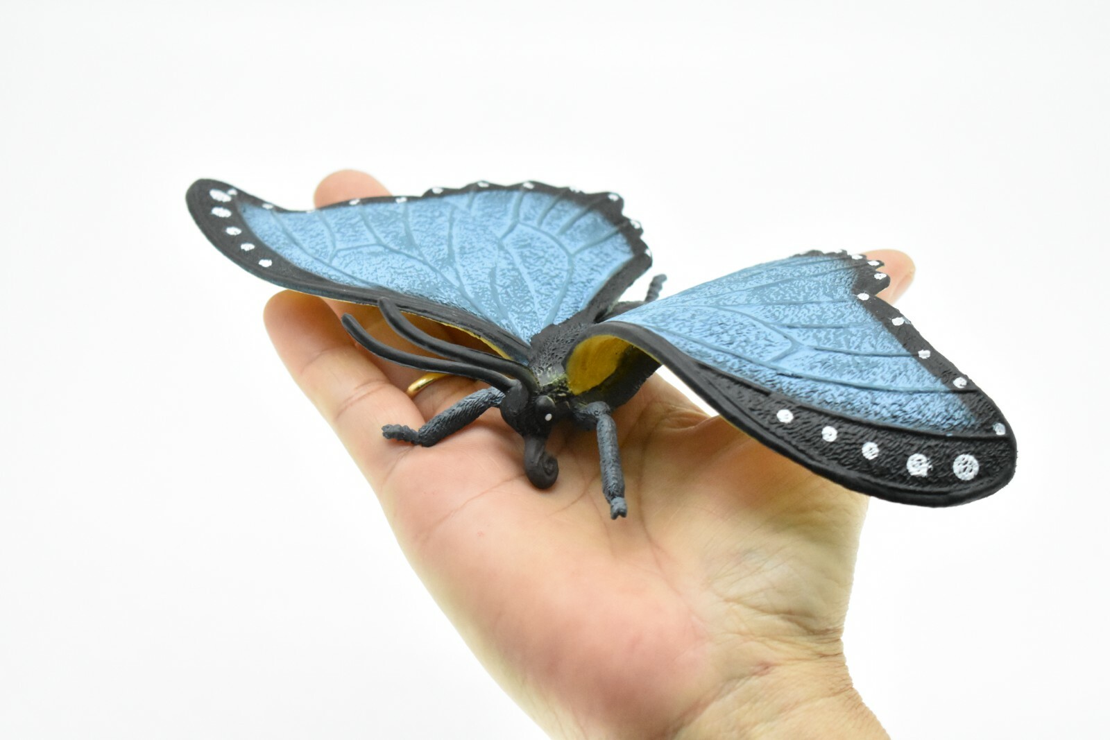 Butterfly, Blue Morpho, Realistic Very Nice Rubber Replica 8″ CWG86 B153