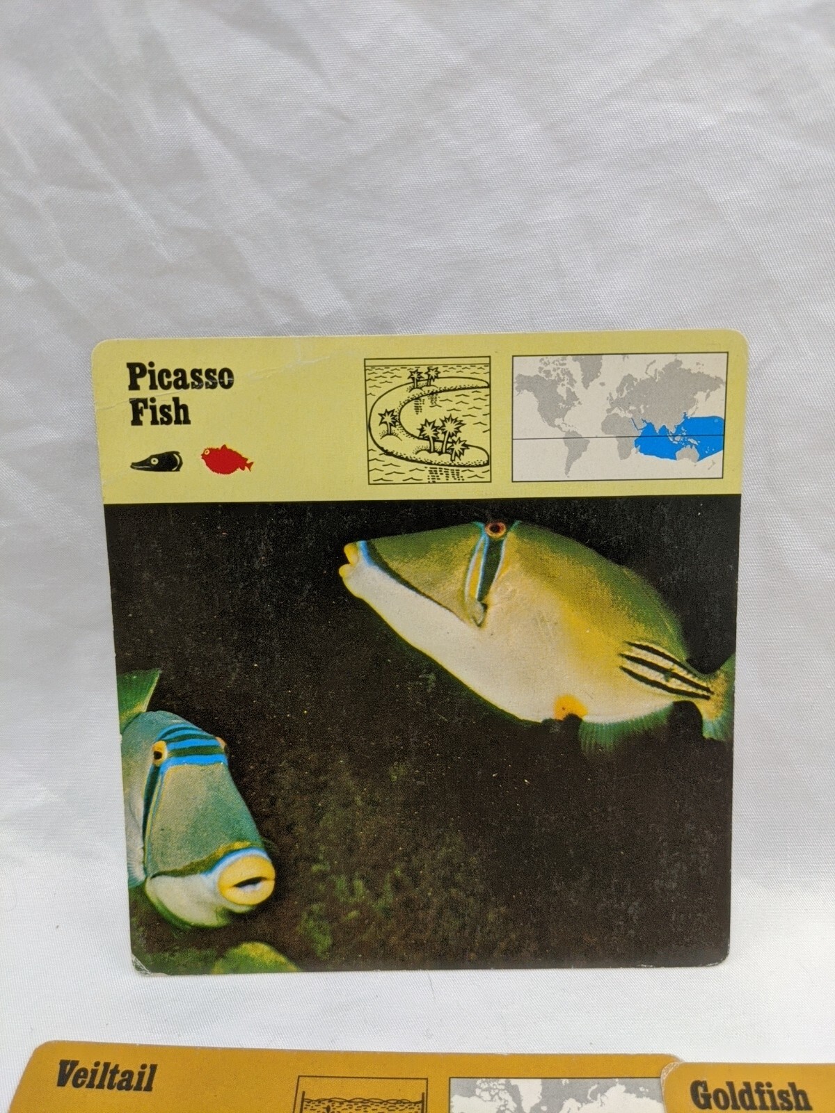 Lot Of (10) 1975 Rencontre Bony Fishes 1 Education Cards