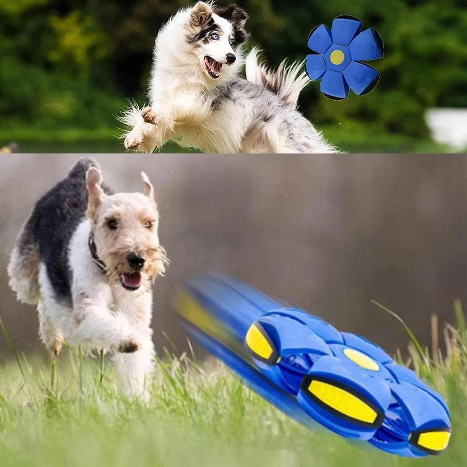 Magic Meta Bounce Ball 2-in-1 Flying Saucer Transforming LED Bouncy Toy Kids Pet