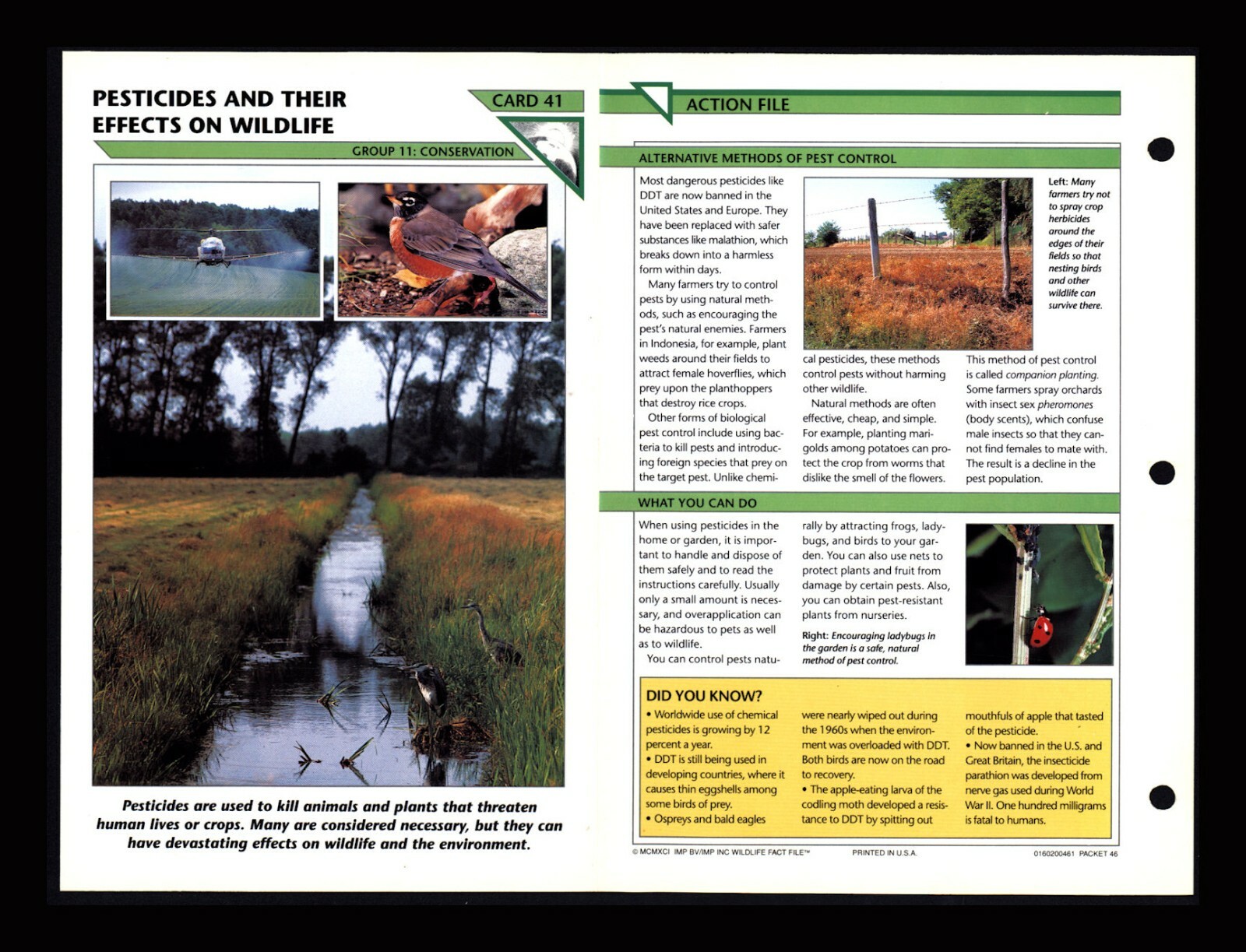 Pesticides Effect on Wildlife Fact File Card Conservation Home School 11.41
