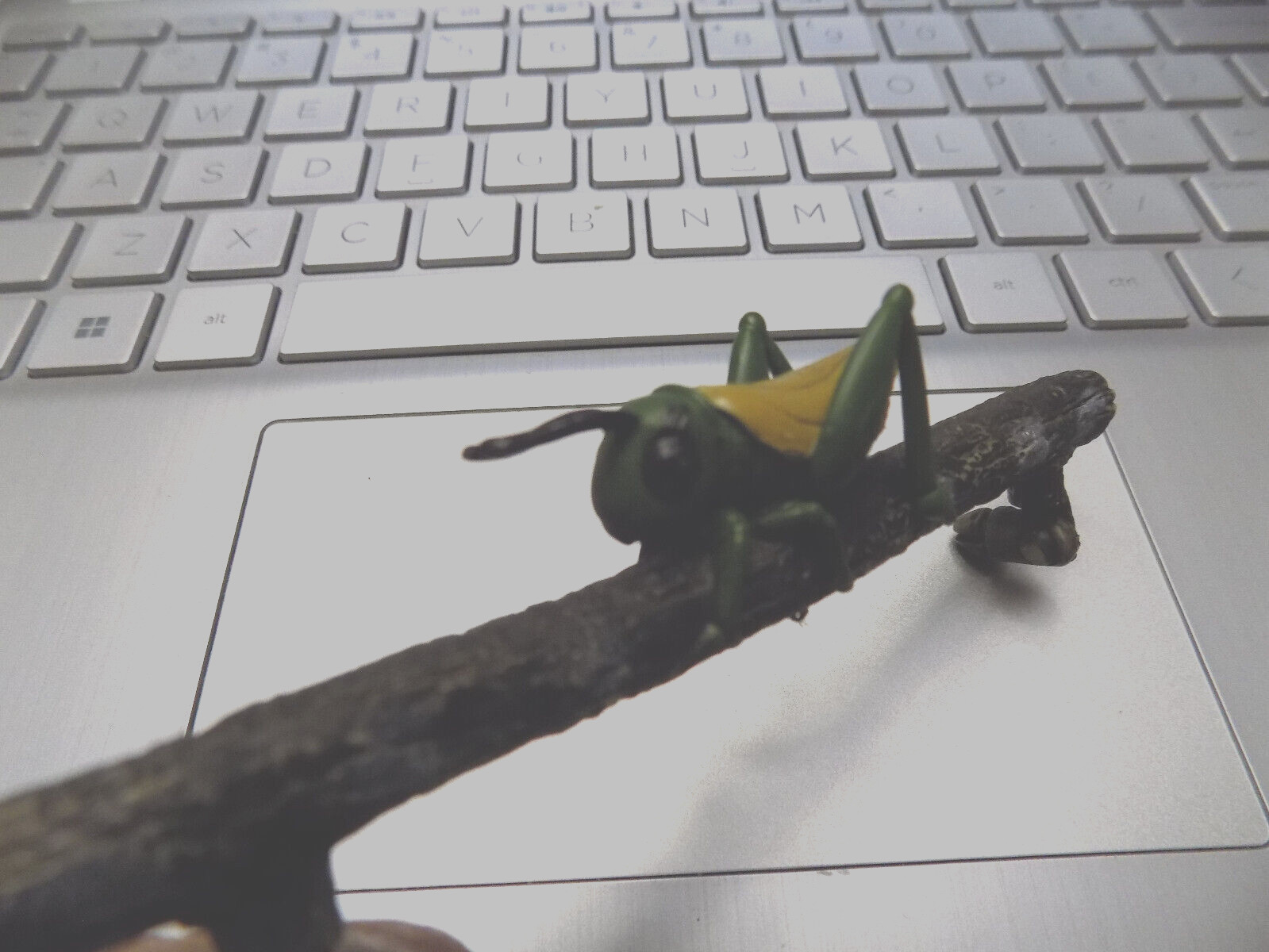 Cricket Bug on Branch Replacement Piece Figure Model Replica Realistic Diorama