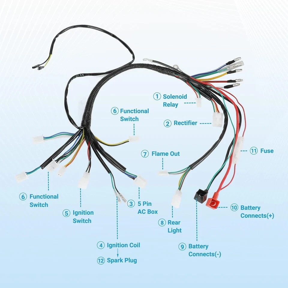 Electric Wiring Harness Kit Compatible with Taotao Coolster 110Cc 125Cc Chinese