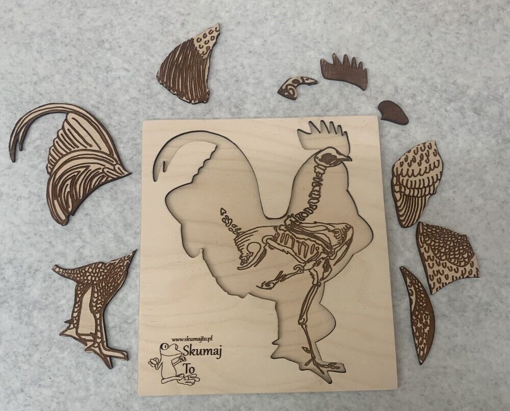 Lot of 2 Skumaj To Polish Animal Anatomy Educational Puzzles: Chicken & Rabbit