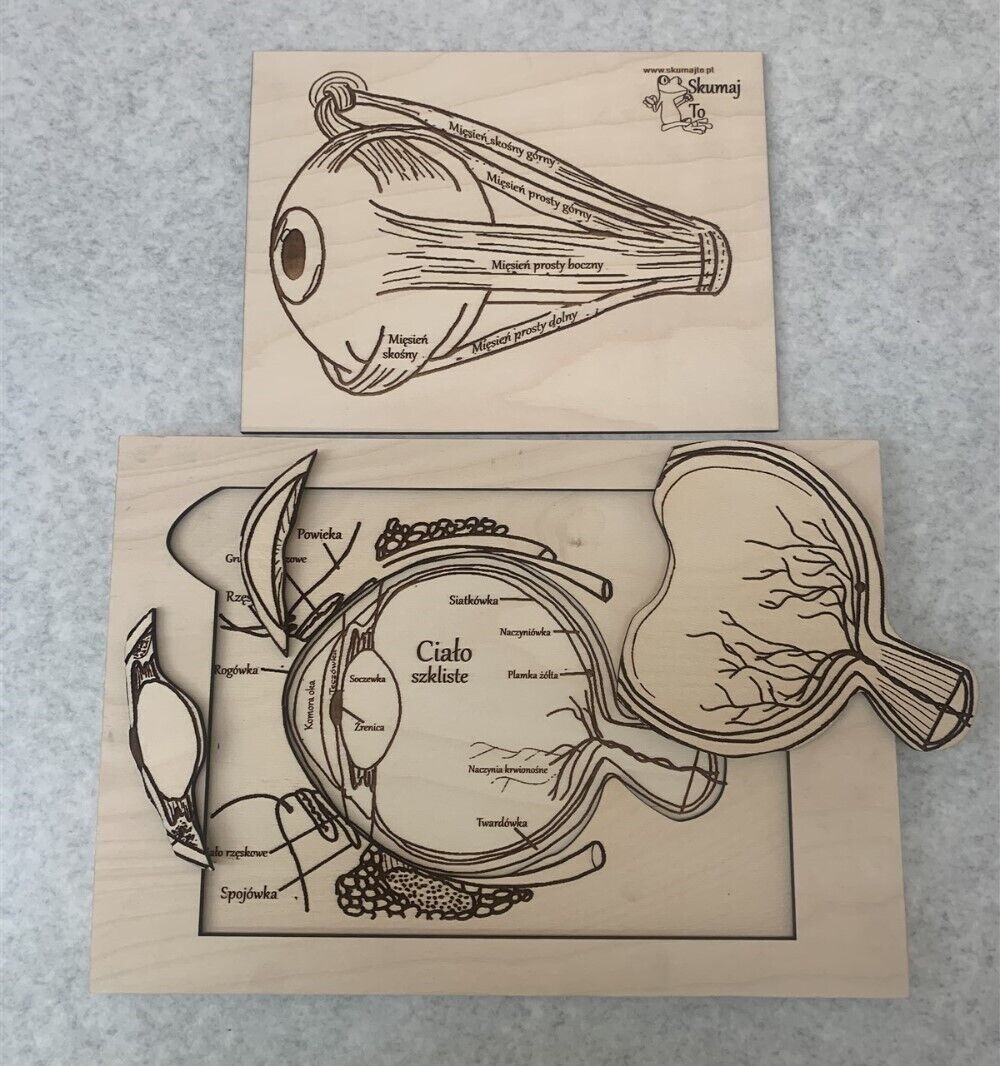 Lot of 3 Skumaj To Polish Anatomy Educational Puzzles – Milk Matters & More READ