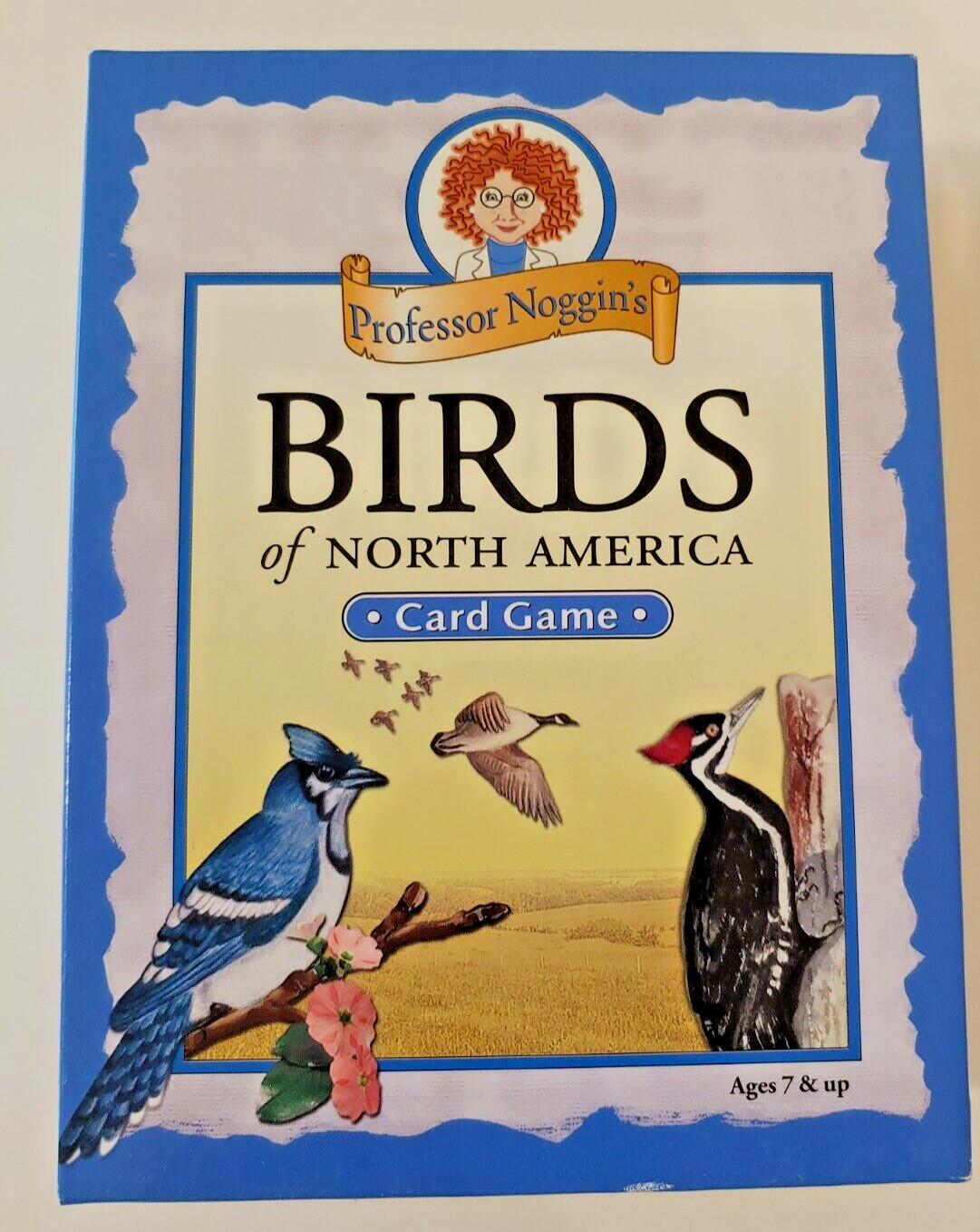 Professor Noggin’s Birds of North America Family Card Game Outset Media