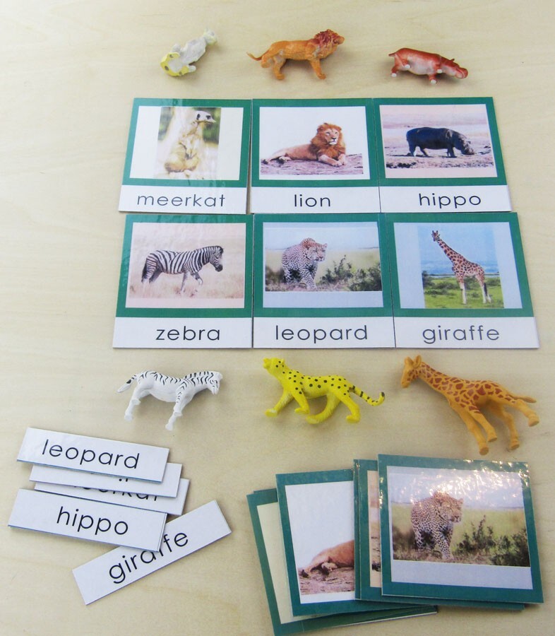 Montessori preschool educational material package