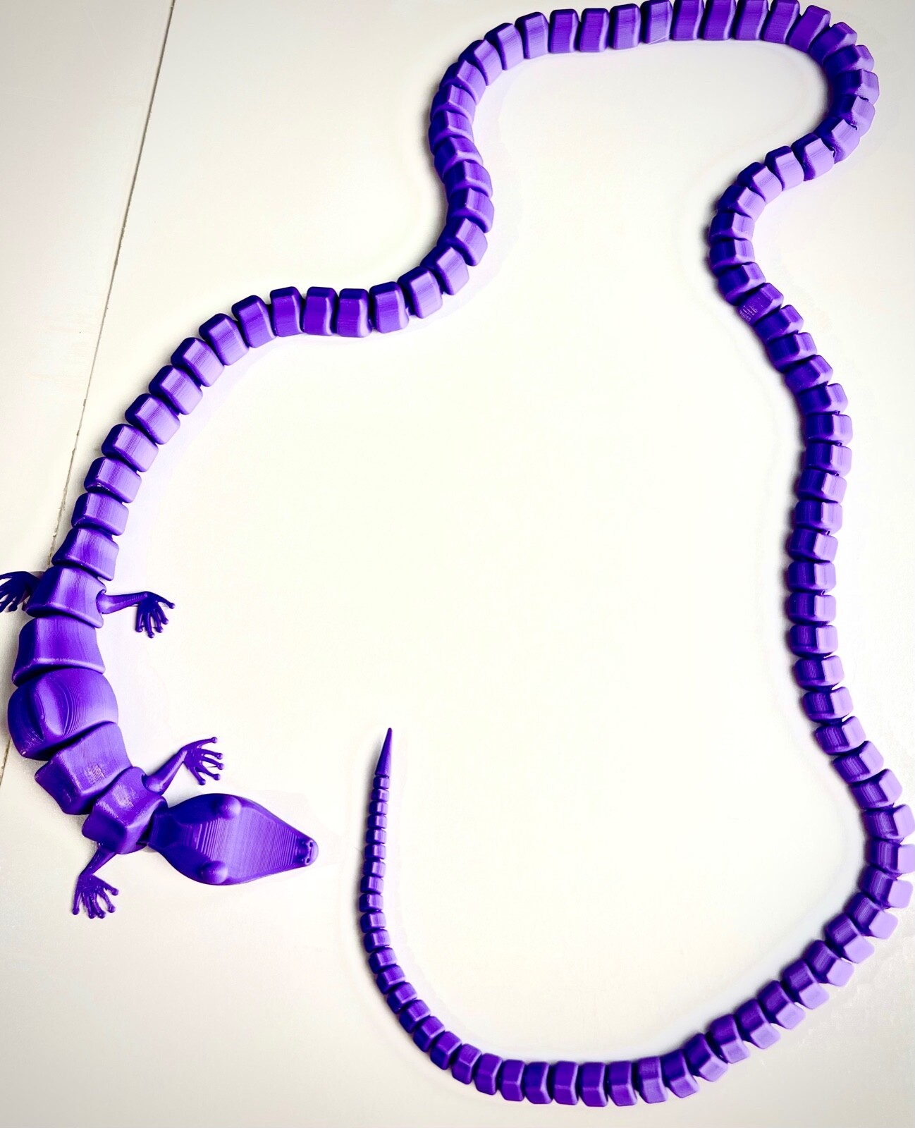 3D Printed Long Tailed Gecko Fidget Toy 42 inch long lizard custom colors