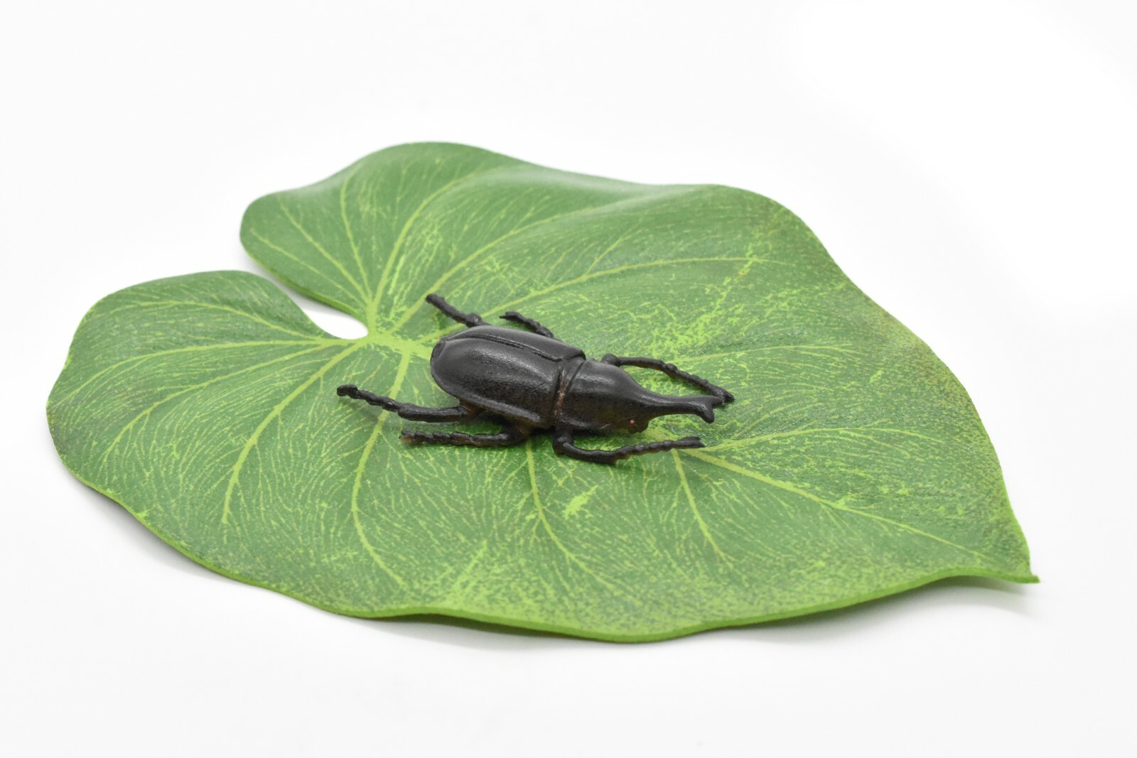 Elephant Beetle, Very Nice Rubber Reproduction 2″ CWG12 B13