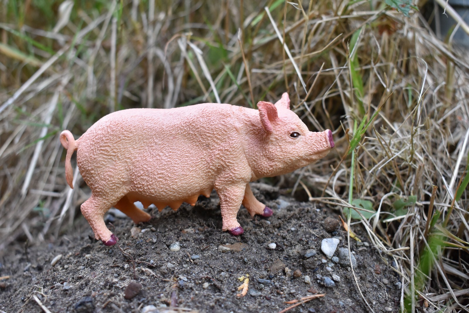 Pig, Sow Realistic Toy Model Plastic Replica Barn Farm Animal Gift 5″ F258