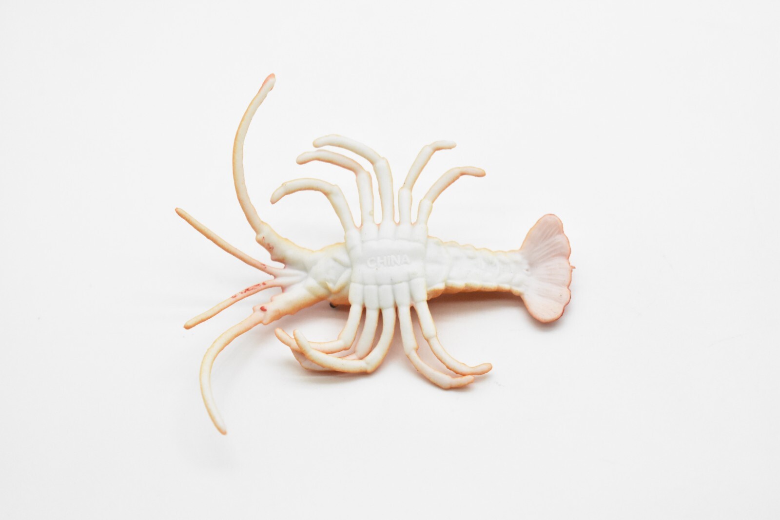 Lobster Toy, California spiny lobster, Realistic Plastic Replica 3″ CWG275 B46