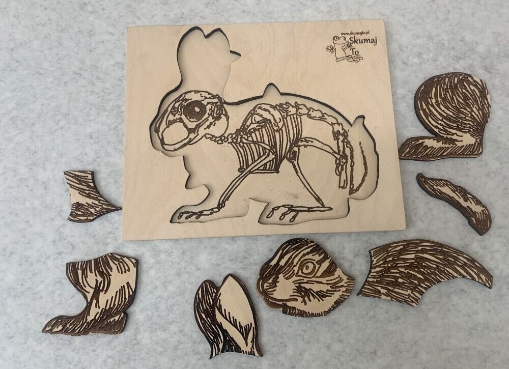Lot of 2 Skumaj To Polish Animal Anatomy Educational Puzzles: Chicken & Rabbit