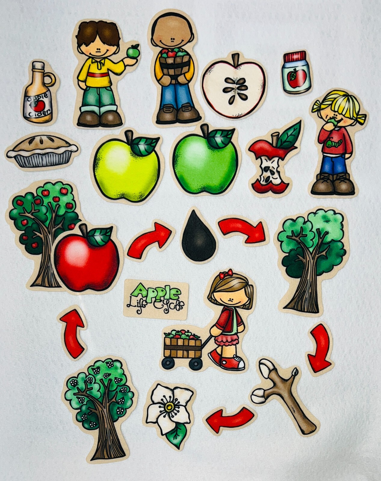 Apple Life Cycle Felt Figures For Flannel Board Stories Preschool Education