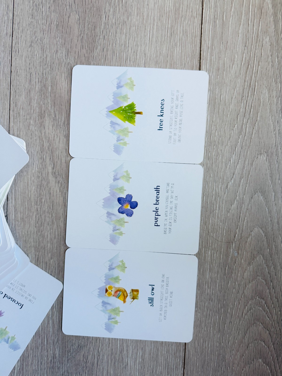 Little Renegades Mindful Kids Cards Ages 3+ Daily Exercises of Mindfulness New