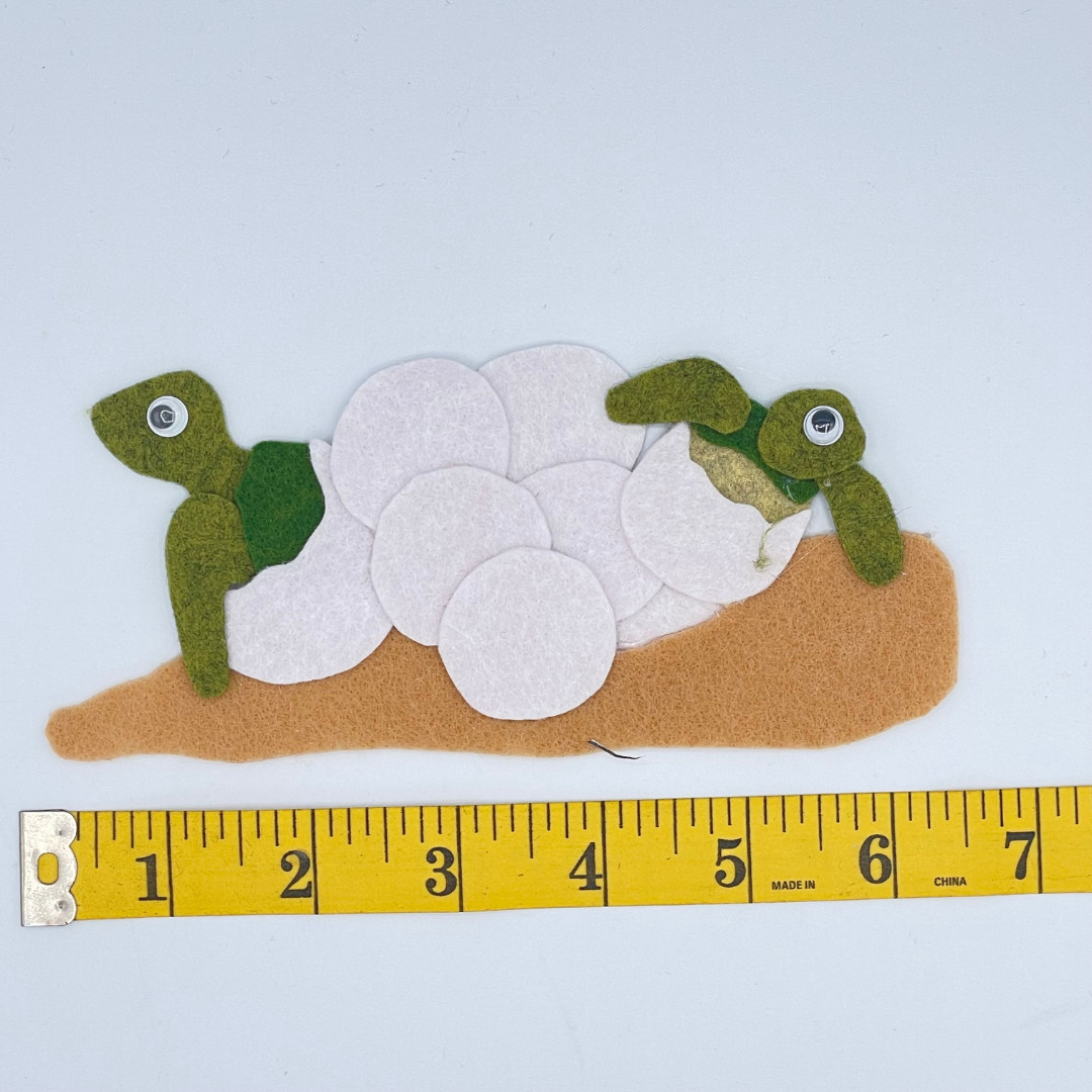 Sea Turtle Lifecycle Felt Set for Felt or Flannel Board Play