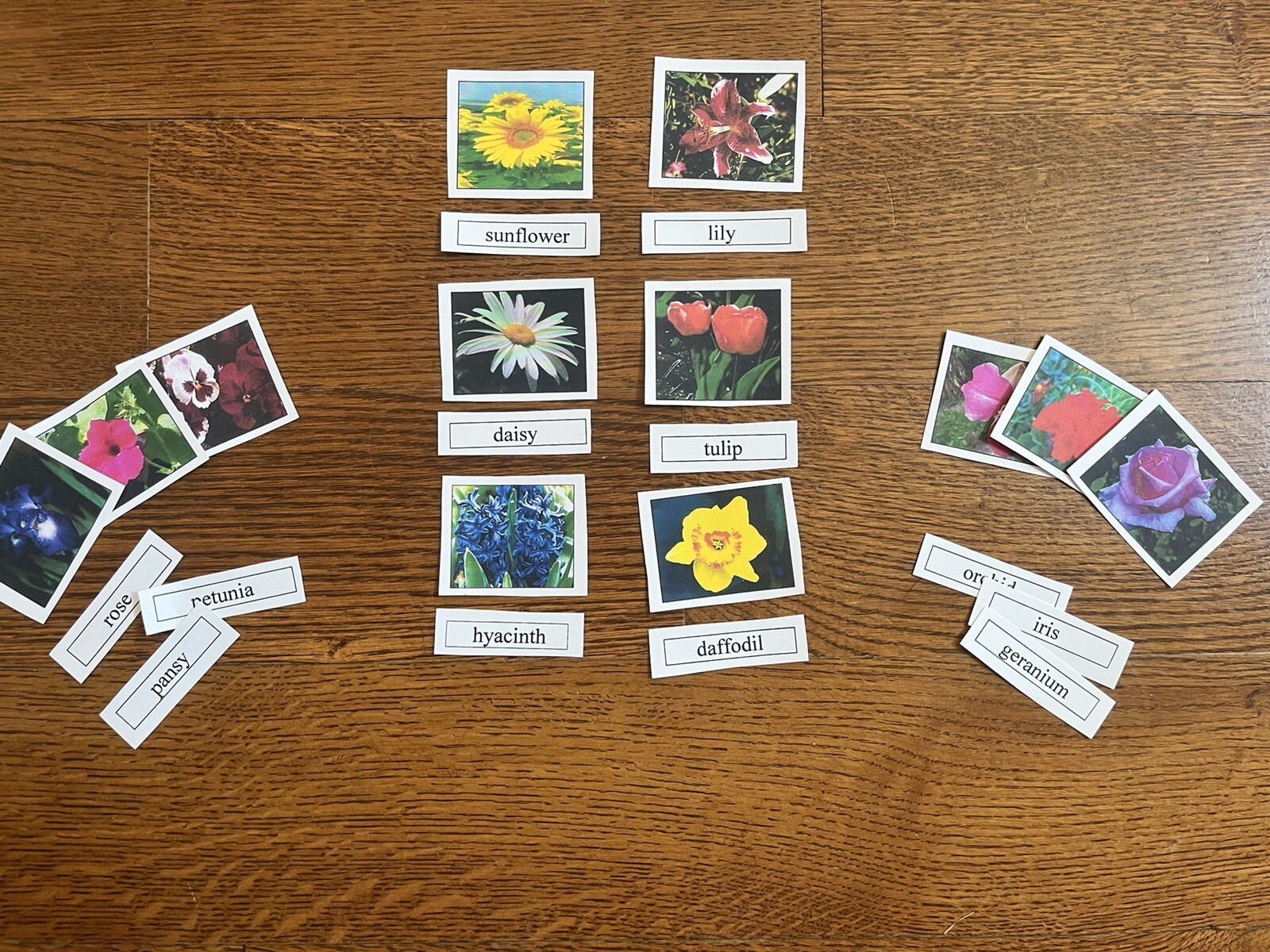 Montessori Science FLOWER NAMES Matching Card Set Educational Materials