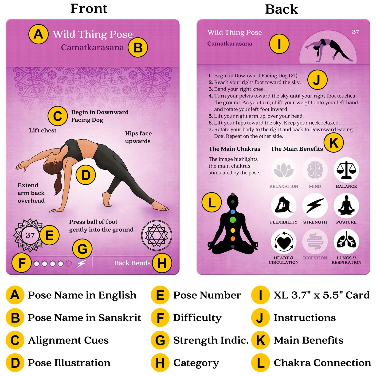 Premium Yoga Cards – Deck with Over 120 Yoga Poses – Yoga Sequencing Deck wit…