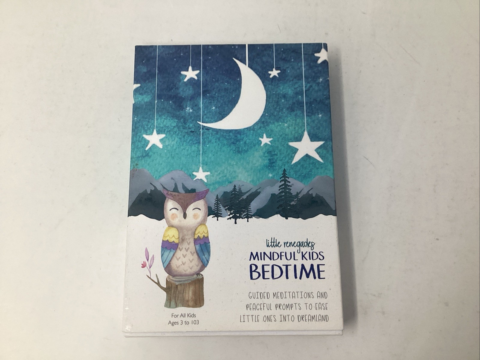 Little Renegades Mindful Kids BEDTIME “Guided Meditations & Peaceful Prompts”