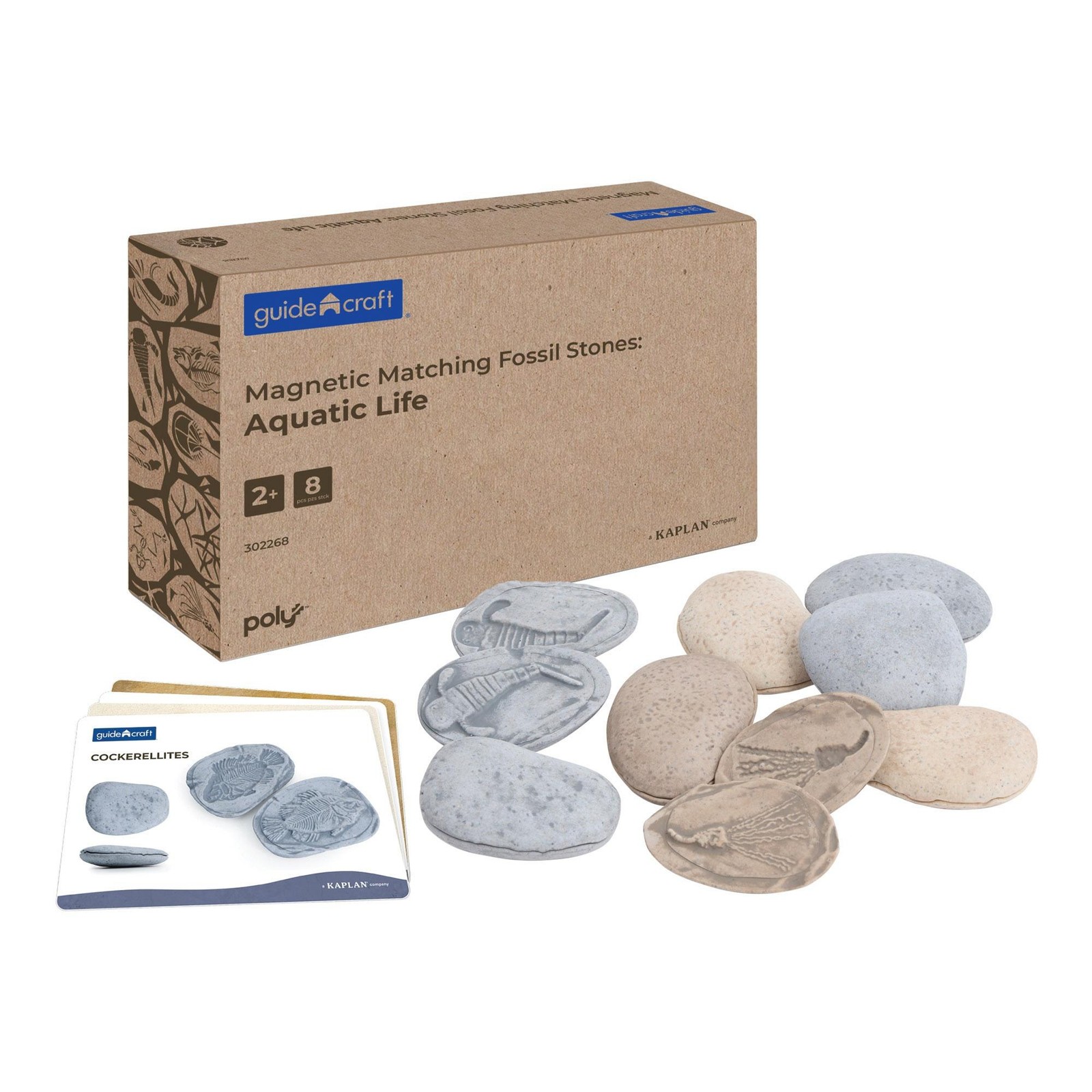 Kaplan Early Learning Magnetic Matching Aquatic Life Fossil Stones – Set of 8