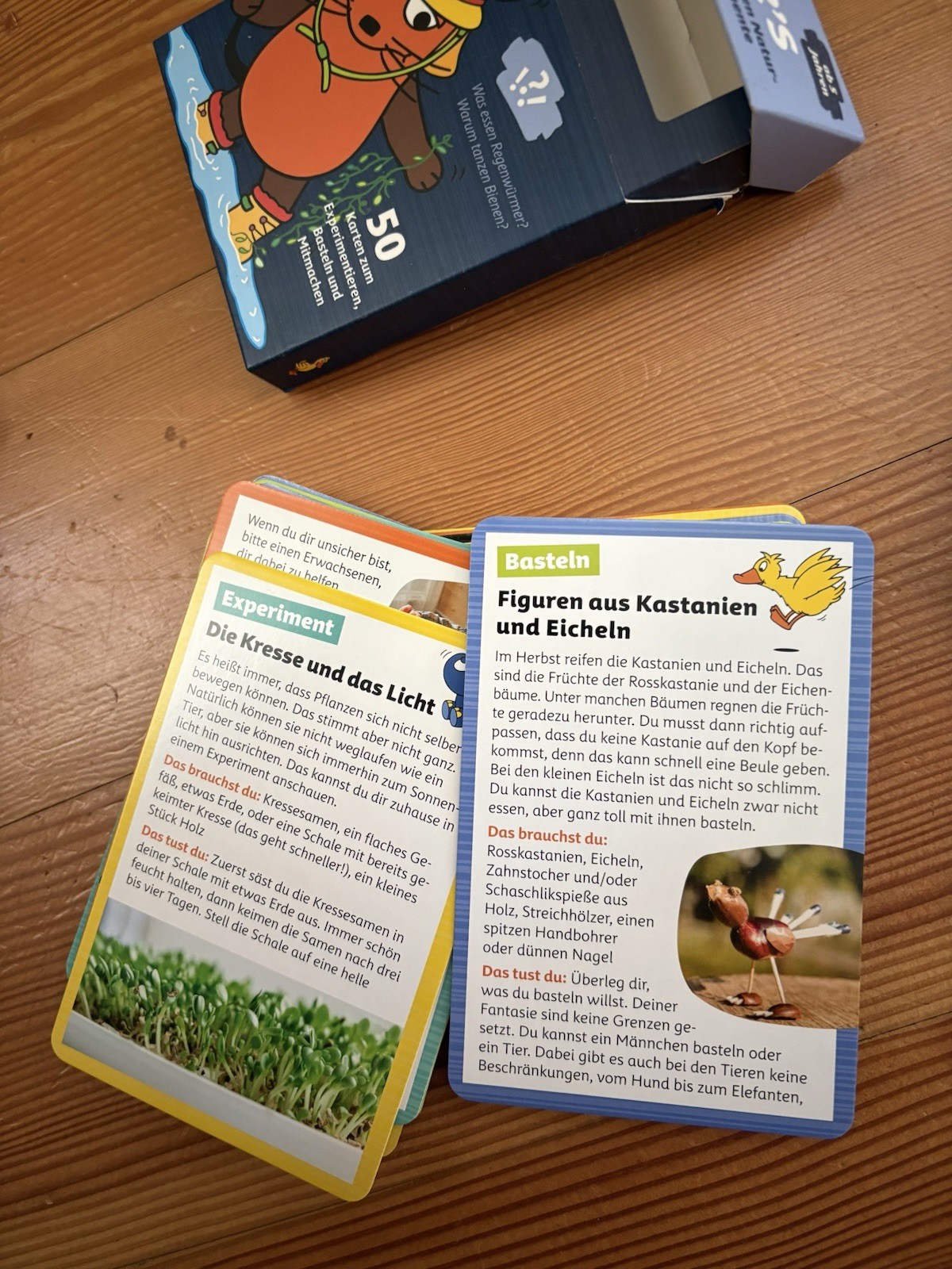 Die Maus “Probier’s Aus!” Activity & Craft Cards For Kids 5+ In German Language