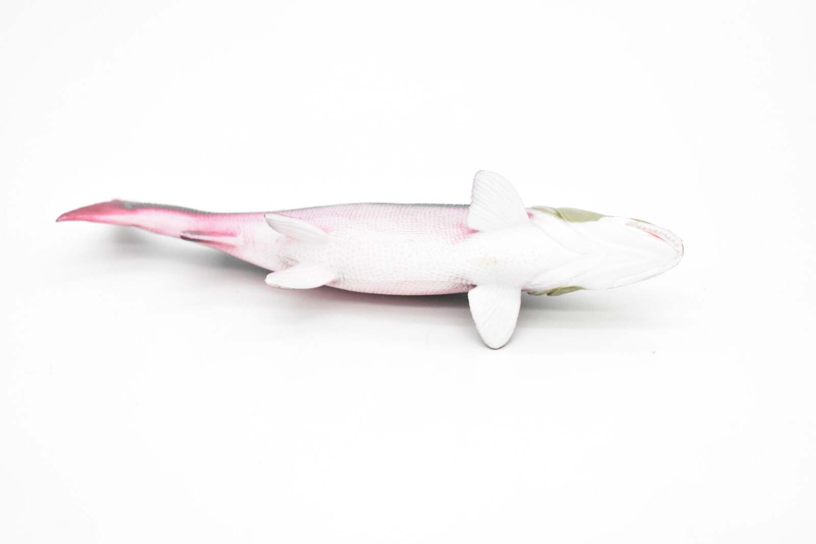 Salmon, King, Spawning, Fish, Figure Realistic Rubber Model, Hand Painted Toy