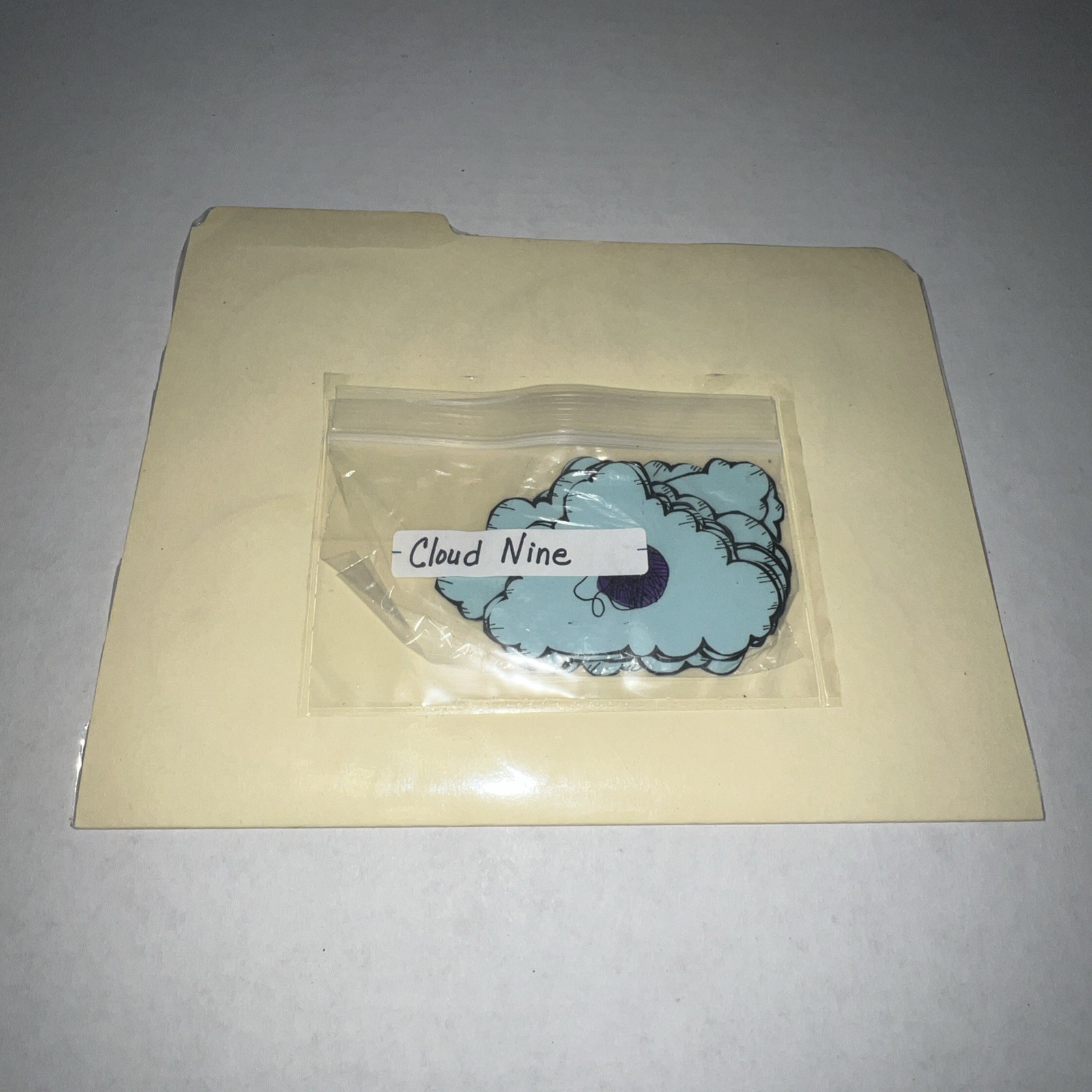 Cloud Nine Grades K-1 Beginning Sounds File Folder Game