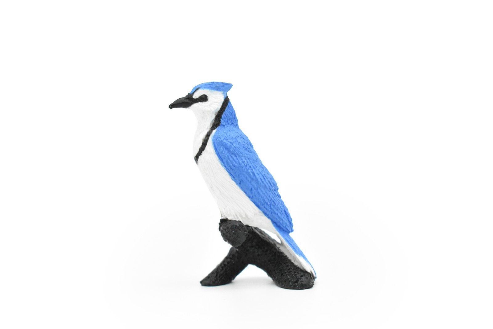 Blue Jay, Bird, Nice Plastic Reproduction 2 1/2″ F3388 B27