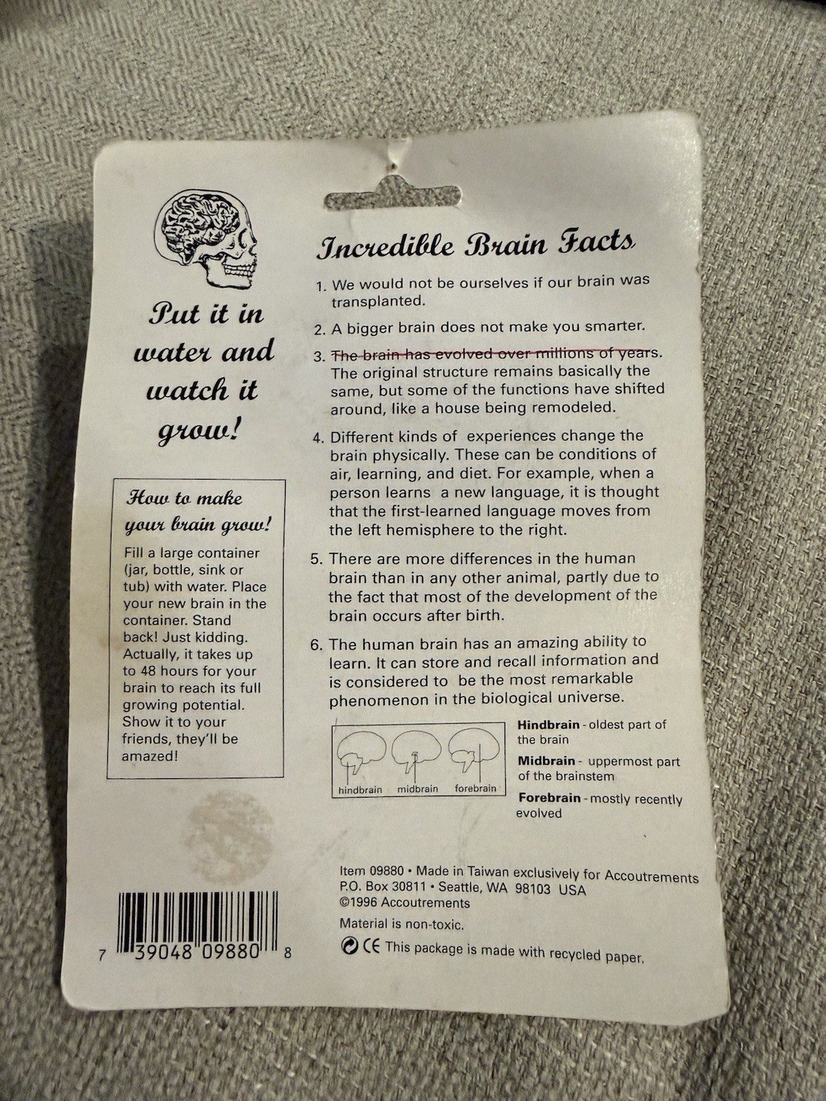 Grow Your Own Brain Water Activated Toy Novelty Gag Gift Psychology Anatomy 90s