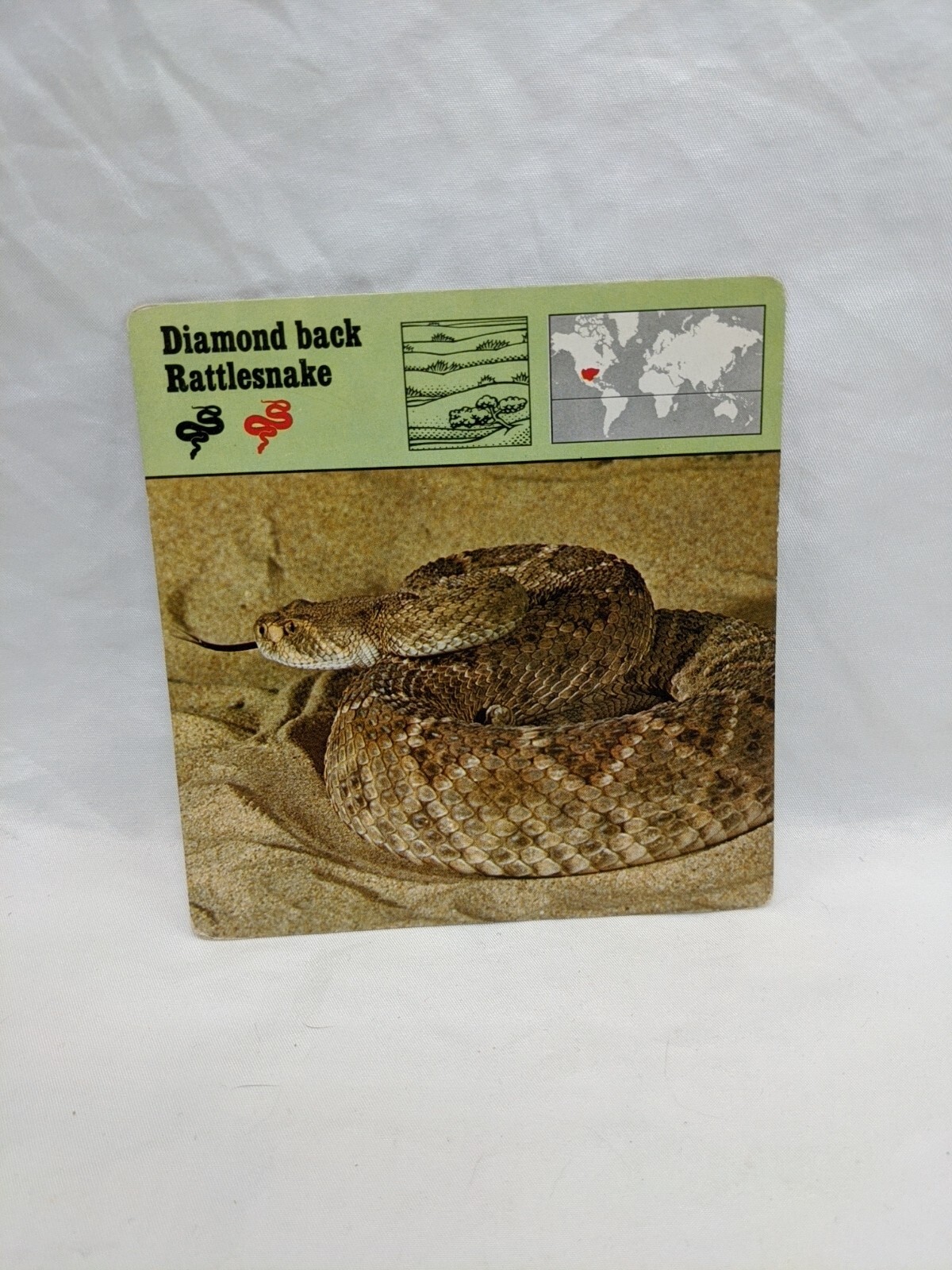 Lot Of (26) 1975 Rencontre Reptiles Education Cards