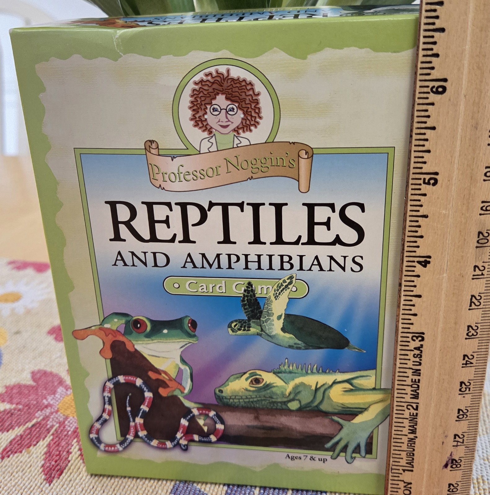 Professor Noggins Reptiles and Amphibians Card Game #13