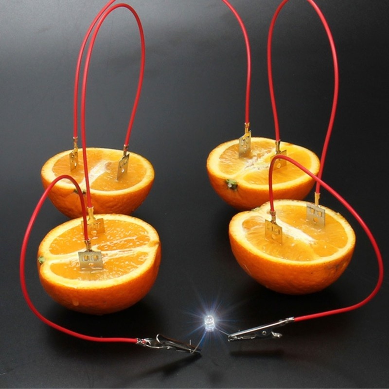 Interactive Fruit Powered Electricity Experiment Set for Kids Teen Student 7 ＋