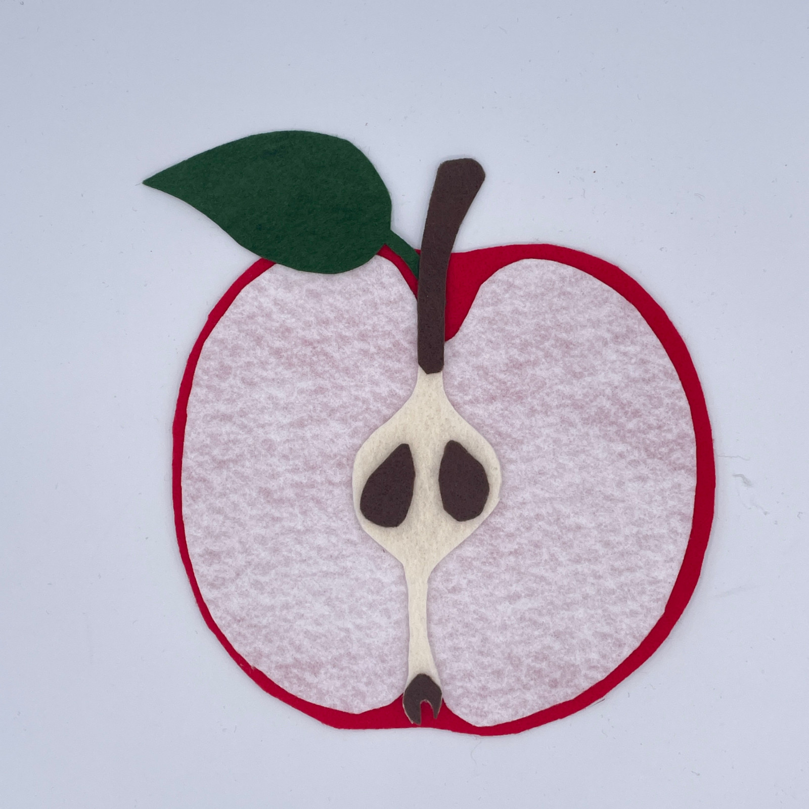 Parts of an Apple Science Felt Story Set for Felt/Flannel Board with Worksheet