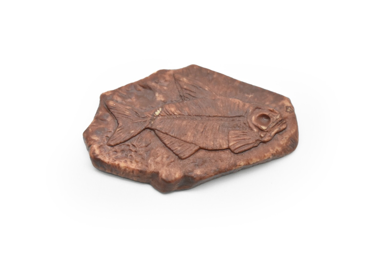 Fossil Fish Skeleton Diplomystus Plastic Replica 2 1/4 inches long – F4102 B96