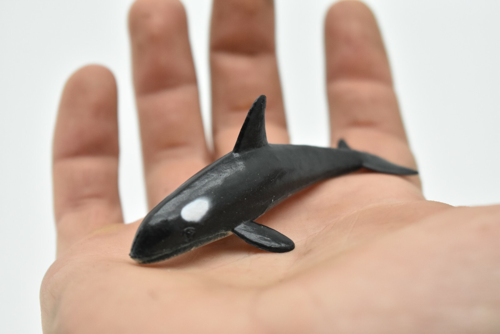 Orca, Killer Whale, Very Nice Rubber Replica 3-inch – F218 B36