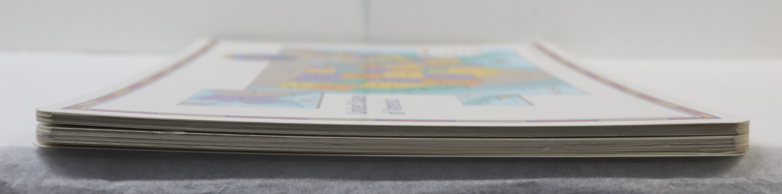24x Houghton Mifflin United States of America/Elevation Double Side Map 11”x17”