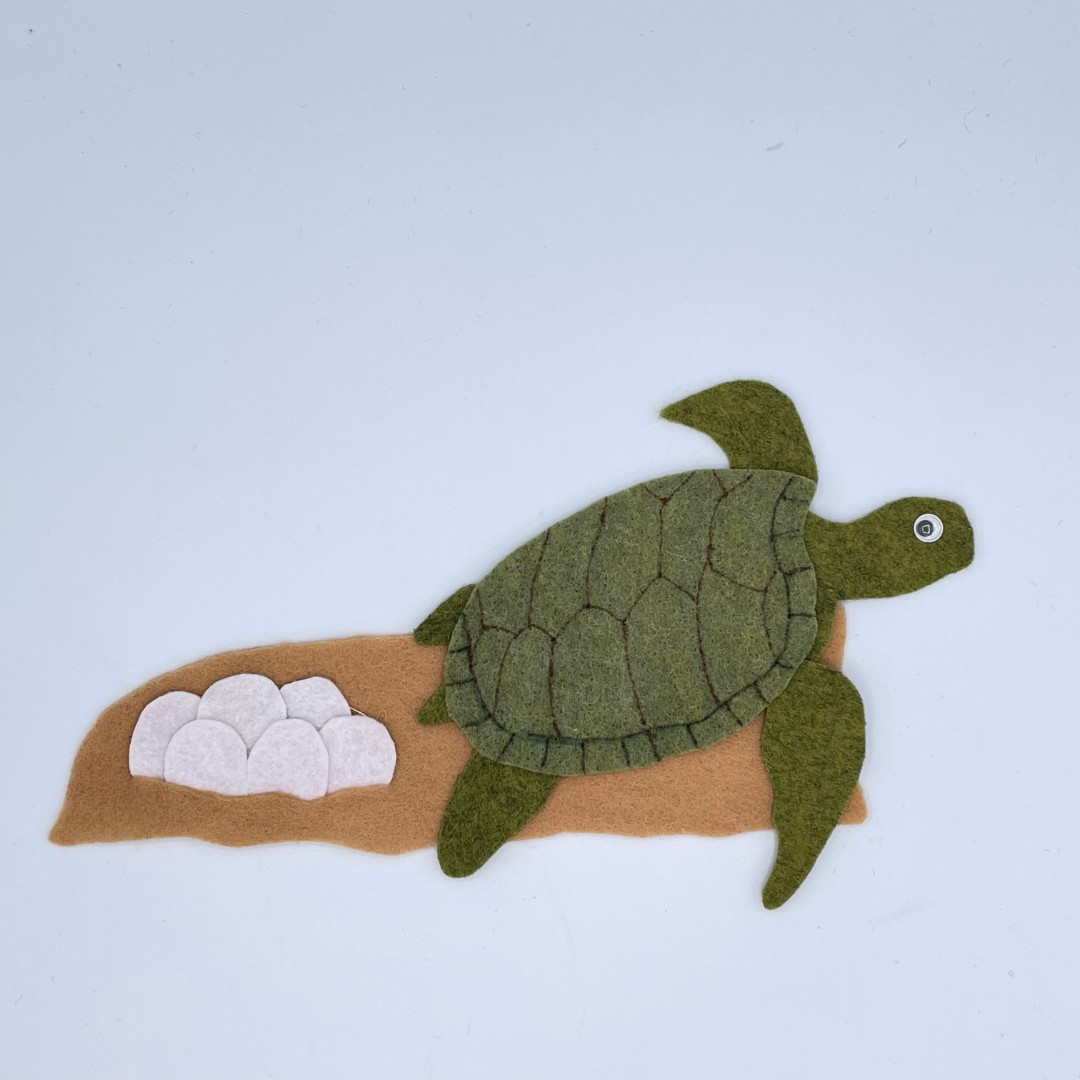 Sea Turtle Lifecycle Felt Set for Felt or Flannel Board Play