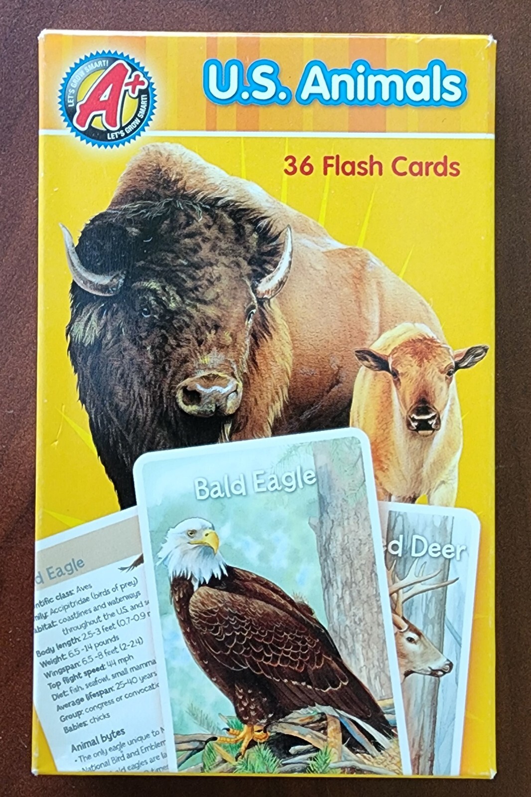 2009 36 Creative Edge Flash Cards – Animals – Rare