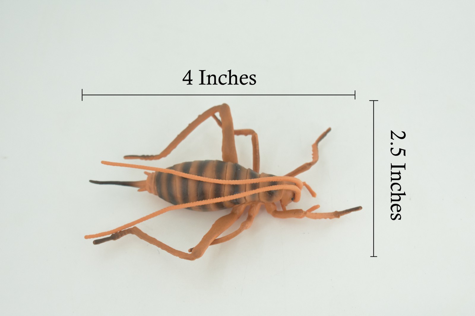 Cricket Toy, Hand Painted, Hard Rubber, High Quality, Realistic Bug, Gift CH1025