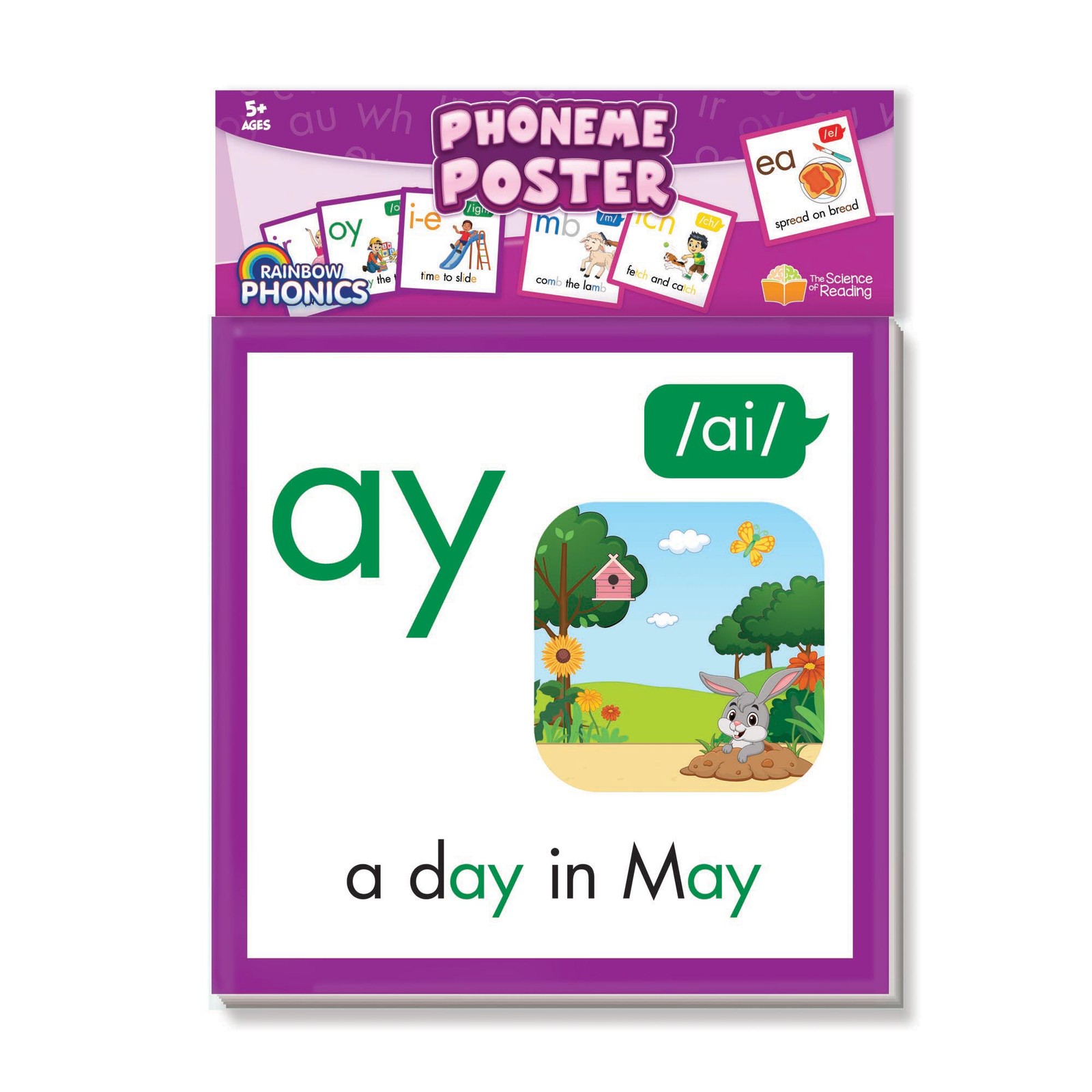 Junior Learning: Rainbow Phonics, 67 Phoneme Posters, Teaching Charts, Kids