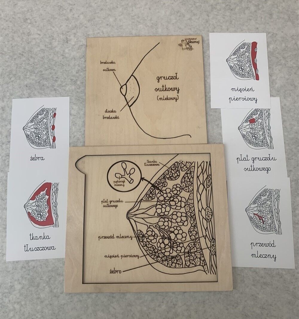 Lot of 3 Skumaj To Polish Anatomy Educational Puzzles – Milk Matters & More READ