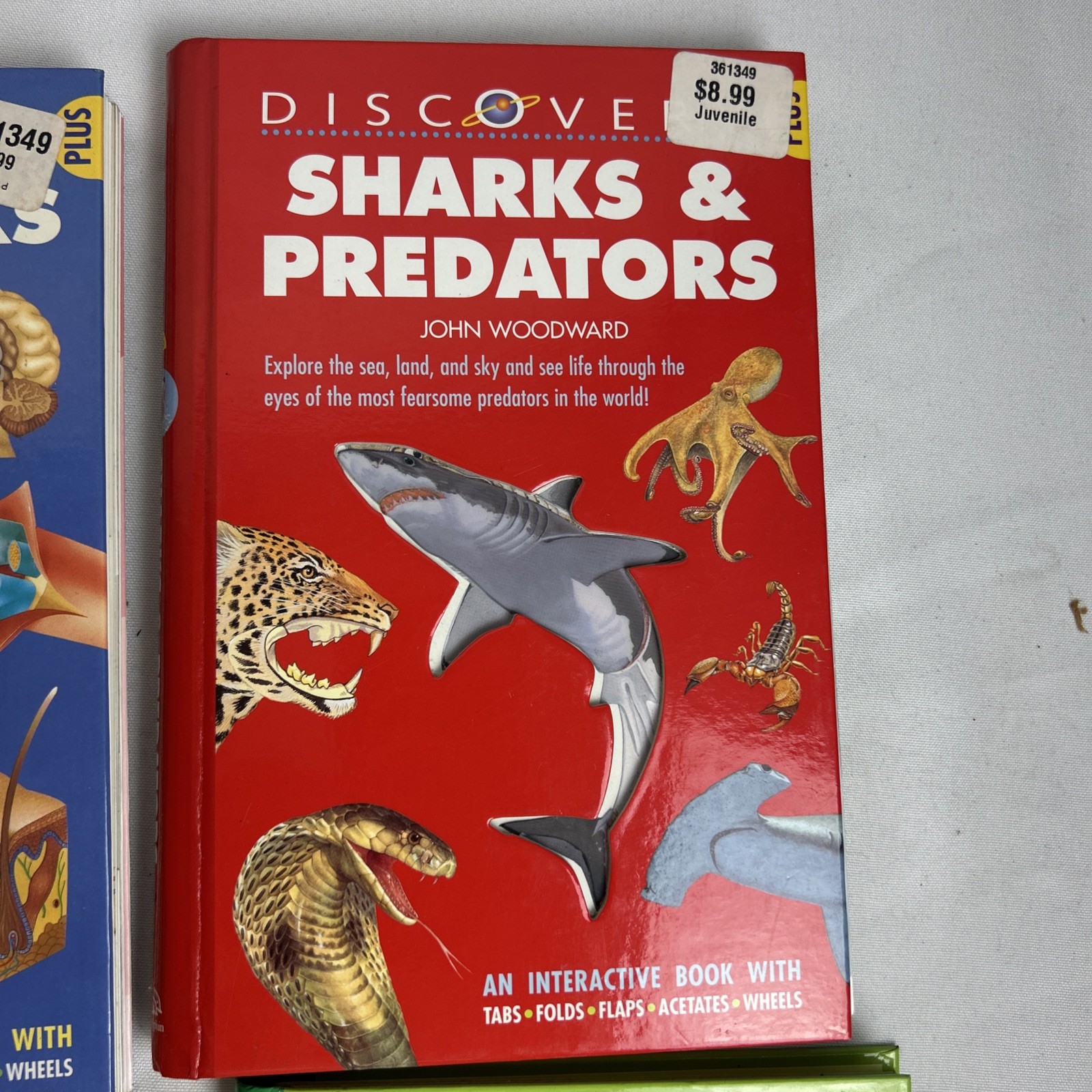 Lot Of (5) Discovery Plus Books INTERACTIVE/Fold Outs / Tabs/ Wheels / Acetate