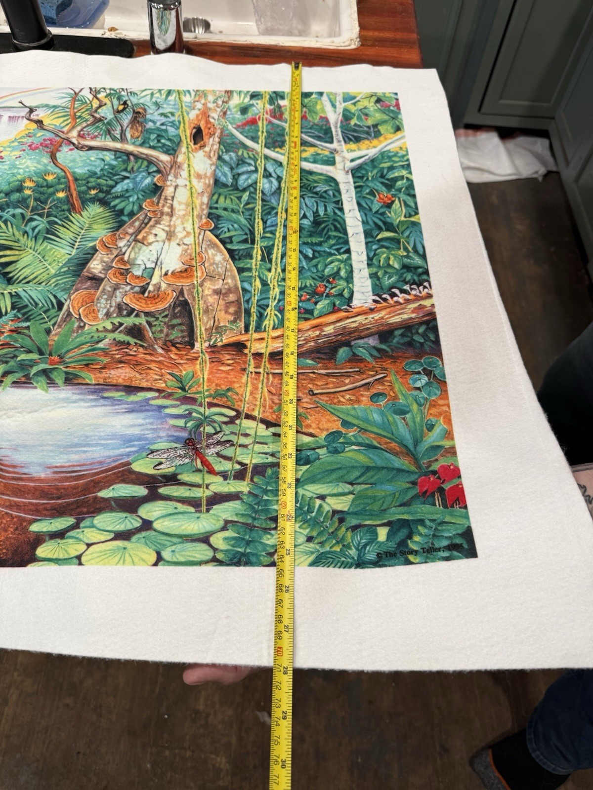 Felt Story Telling Background Of Jungle, No Animal Pieces