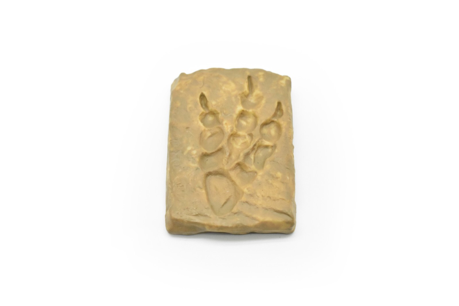 Dinosaur Track Footprint Fossil Plastic Replica 2 inches long -F4099B96
