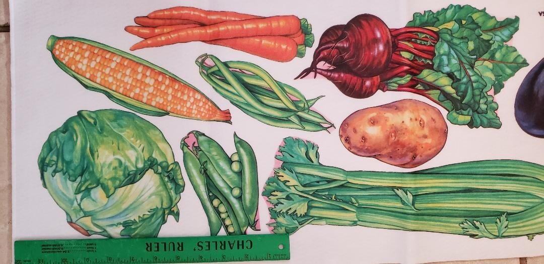 Flannelboard/Felt – Vegetables 11 pieces- Vibrant color ! New FREE shipping