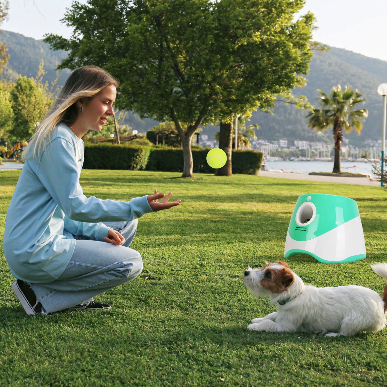 1Pc Automatic Dog Ball Launcher Included 6 Tennis Balls Dog With 3 Adjustable La
