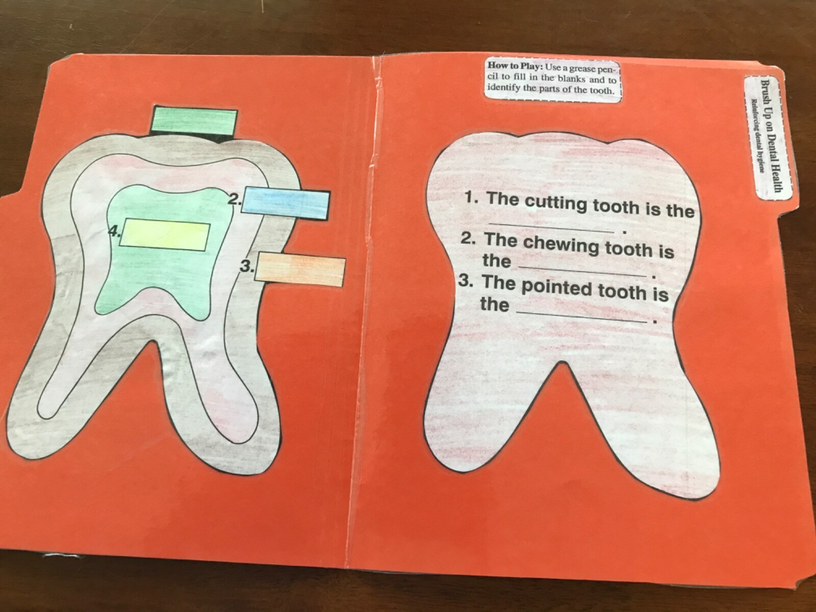 Brush Up on Dental Health! 2nd grade file folder game