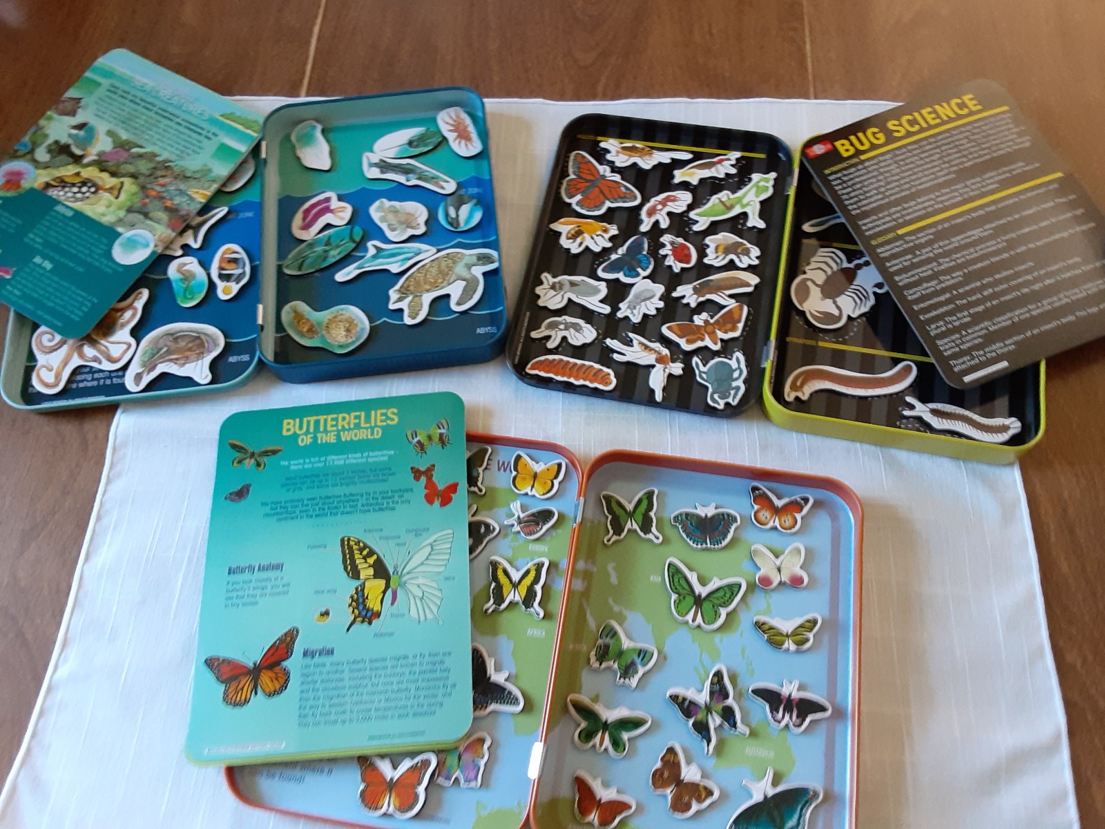 Magnetic Learning Activity Sea Creatures, Bug Sience & Butterflies STEM Bendon