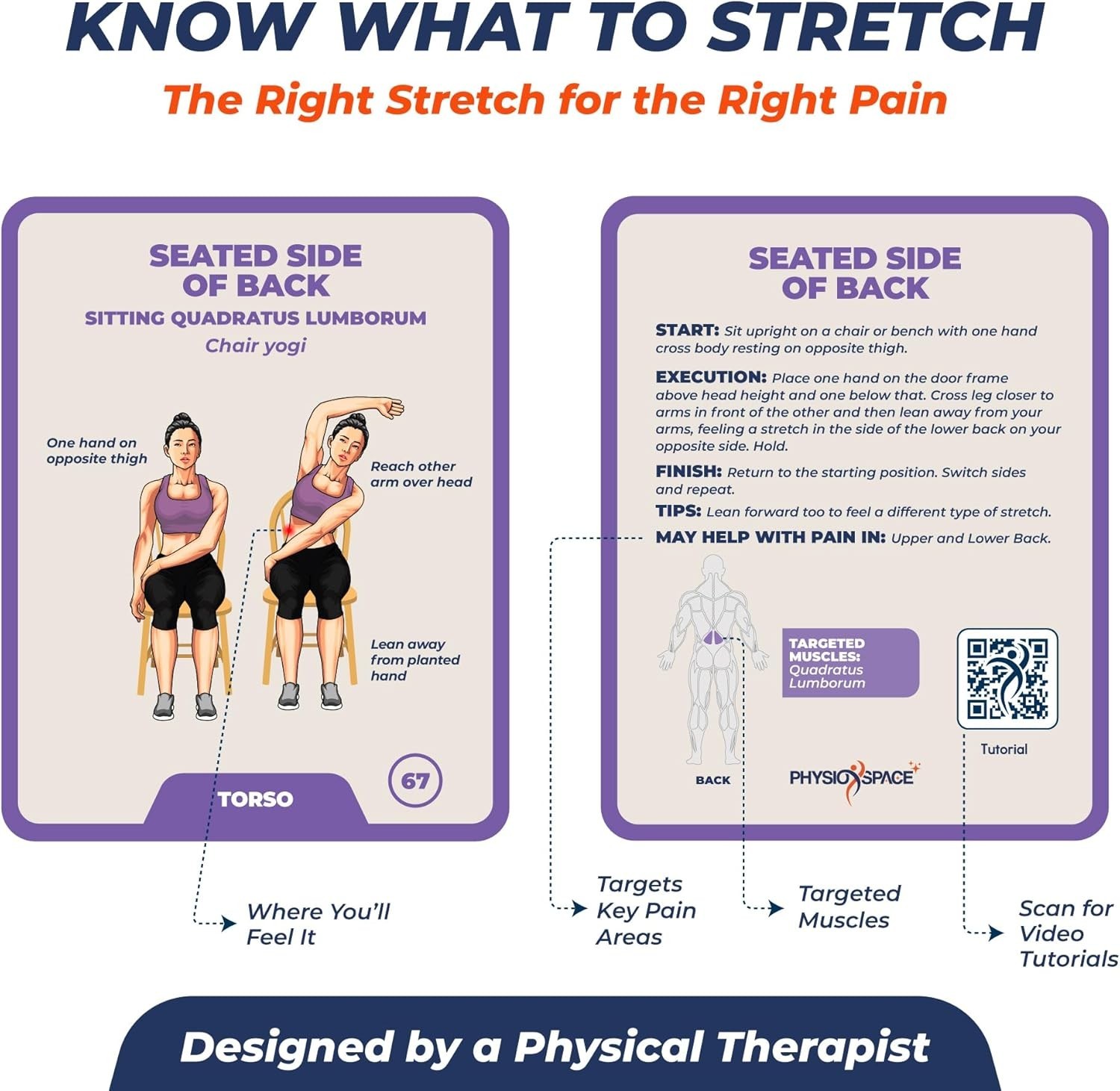 100 Stretching Exercise Flash Cards – Physical Therapy Stretches for Common C…